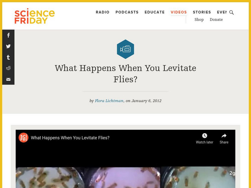 Science Friday: What Happens When You Levitate Flies? Instructional Video Science Friday: What Happens When You Levitate Flies? Instructional Video