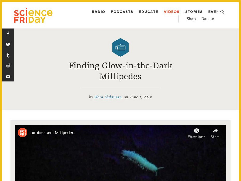 Science Friday: Finding Glow in the Dark Millipedes Instructional Video