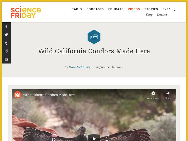 Science Friday: Wild California Condors Made Here Instructional Video