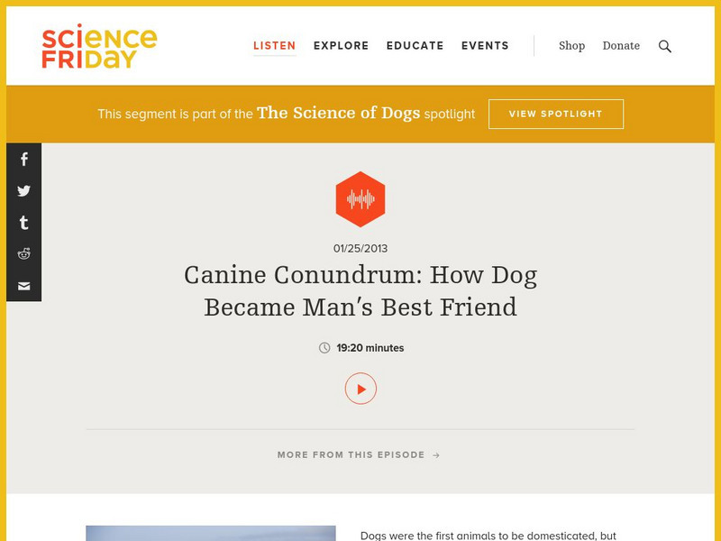 Science Friday: Canine Conundrum: How Dog Became Man's Best Friend Audio
