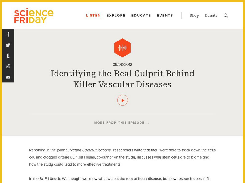 Science Friday: Identifying the Real Culprit Behind Killer Vascular Diseases Audio Science Friday: Identifying the Real Culprit Behind Killer Vascular Diseases Audio