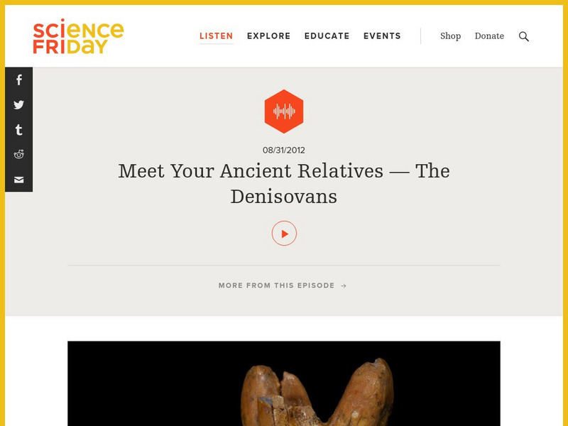 Science Friday: Meet Your Ancient Relatives the Denisovans Audio
