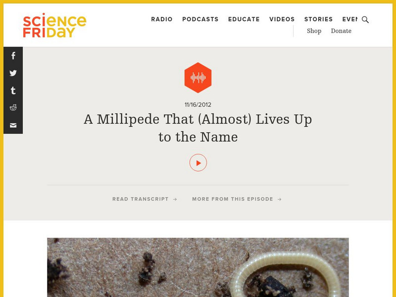 Science Friday: A Millipede That (Almost) Lives Up to the Name Audio
