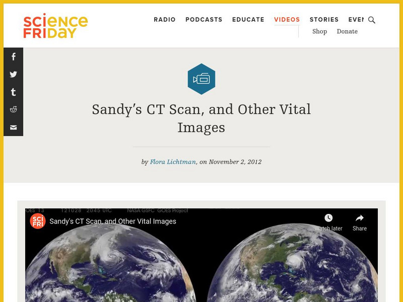 Science Friday: Sandy's Ct Scan, and Other Vital Images Instructional Video
