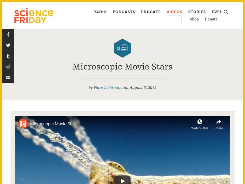 Science Friday: Microscopic Movie Stars Instructional Video