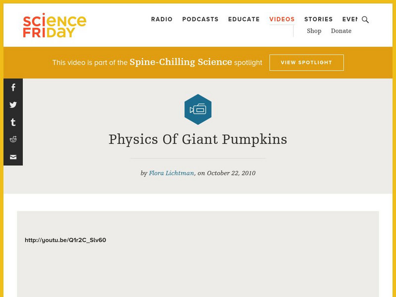 Science Friday: Physics of Giant Pumpkins Audio Science Friday: Physics of Giant Pumpkins Audio