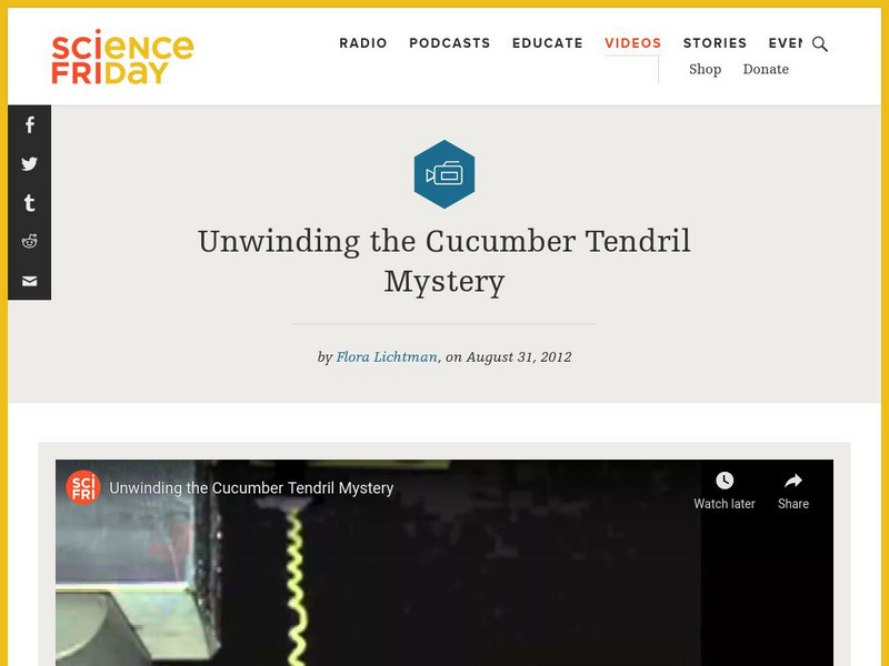 Science Friday: Unwinding the Cucumber Tendril Mystery Instructional Video Science Friday: Unwinding the Cucumber Tendril Mystery Instructional Video