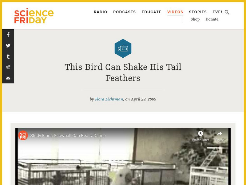 Science Friday: This Bird Can Shake His Tail Feathers Instructional Video