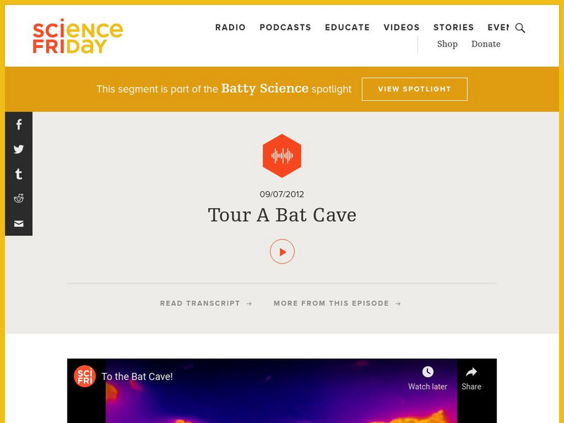 Science Friday: Tour a Bat Cave Audio