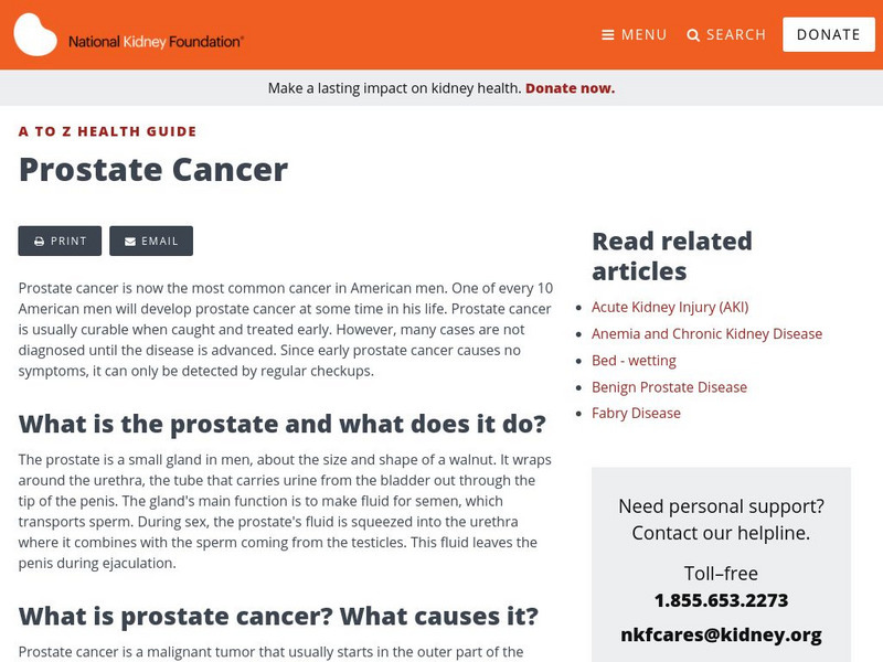 National Kidney Foundation: Prostate Cancer Handout