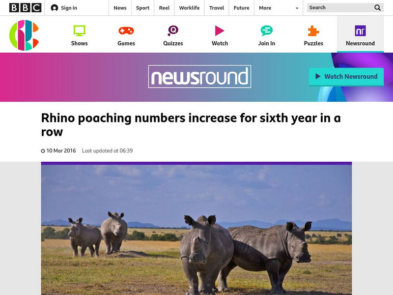 Bbc Newsround: Rhino Poaching Numbers Increase Article Bbc Newsround: Rhino Poaching Numbers Increase Article