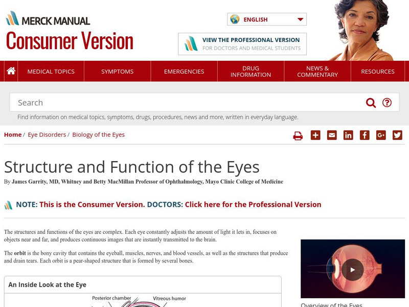 Merck Manual: Structure and Function of the Eye Handout Merck Manual: Structure and Function of the Eye Handout