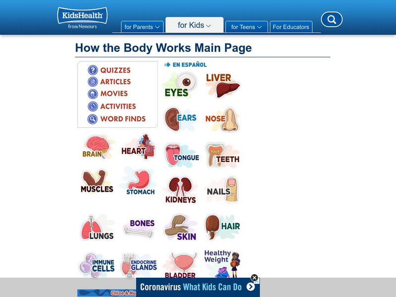 Kids Health: How the Body Works Interactive Kids Health: How the Body Works Interactive