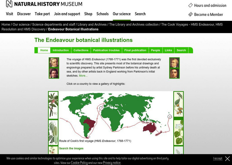 Natural History Museum (London): The Endeavour Botanical Illustrations Unit Plan Natural History Museum (London): The Endeavour Botanical Illustrations Unit Plan