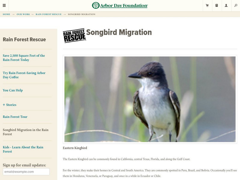 Nat. Arbor Day Foundation: Songbird Migration Article Nat. Arbor Day Foundation: Songbird Migration Article
