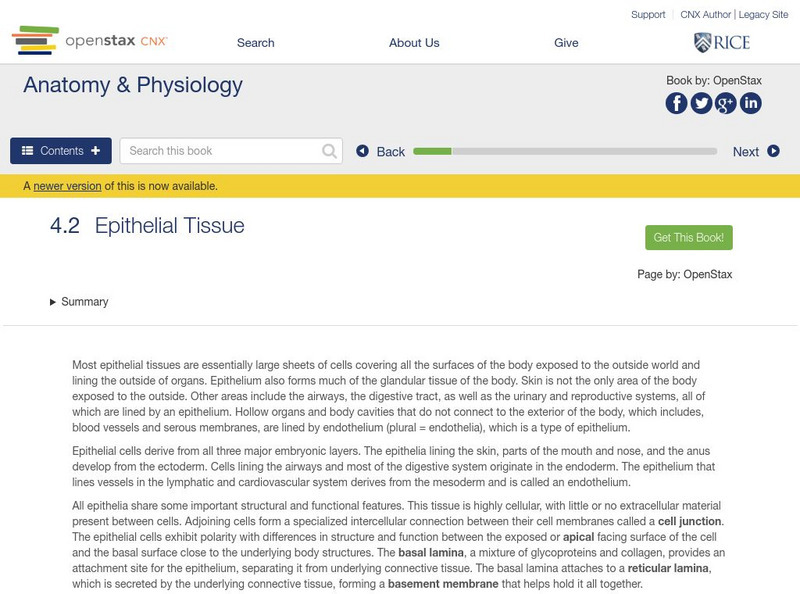 Open Stax: Anatomy & Physiology: Epithelial Tissue Unit Plan Open Stax: Anatomy & Physiology: Epithelial Tissue Unit Plan