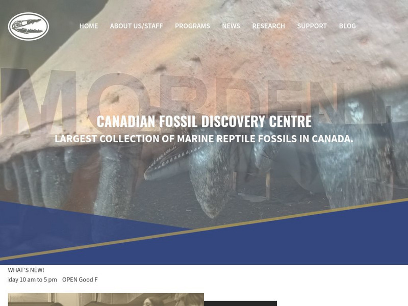 Canadian Fossil Discovery Centre Website Canadian Fossil Discovery Centre Website