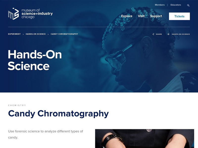 Museum of Science and Industry: Online Science: Candy and Chromatography Activity