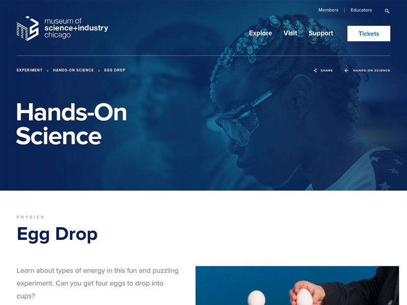 Museum of Science and Industry Chicago: Online Science: Drop Eggs Into Cups Activity Museum of Science and Industry Chicago: Online Science: Drop Eggs Into Cups Activity