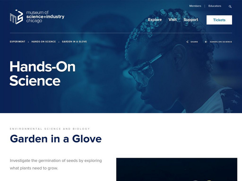 Museum of Science and Industry, Chicago: Activities: Grow a Garden in a Glove Activity Museum of Science and Industry, Chicago: Activities: Grow a Garden in a Glove Activity