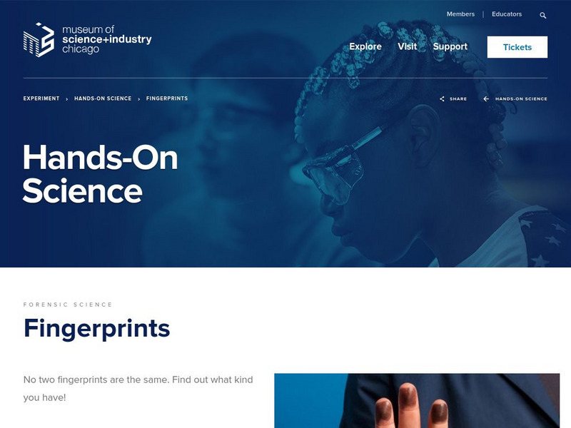 Museum of Science and Industry: Online Science: Identify Your Fingerprints Activity Museum of Science and Industry: Online Science: Identify Your Fingerprints Activity