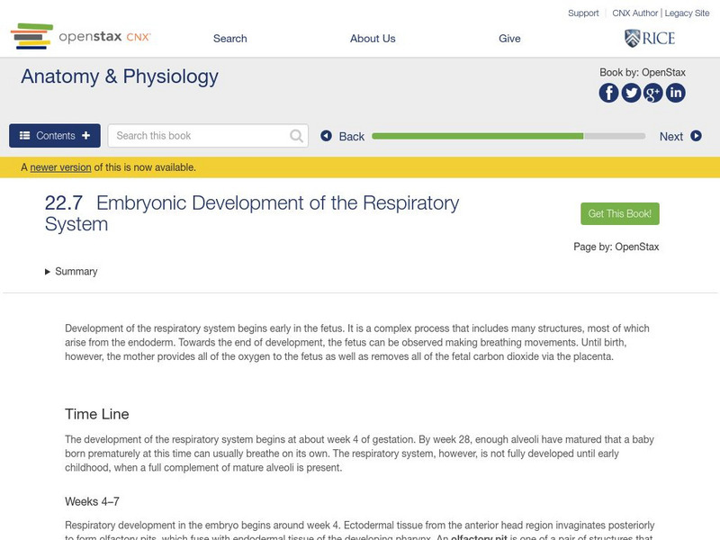 Open Stax: Anatomy & Physiology: Embryonic Development: Respiratory System Unit Plan Open Stax: Anatomy & Physiology: Embryonic Development: Respiratory System Unit Plan