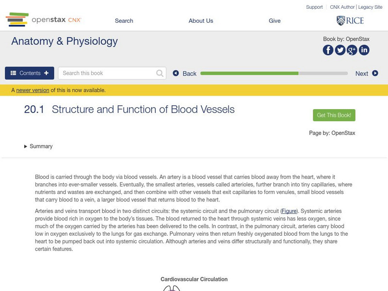 Open Stax: Anatomy & Physiology: Structure and Function of Blood Vessels Unit Plan Open Stax: Anatomy & Physiology: Structure and Function of Blood Vessels Unit Plan