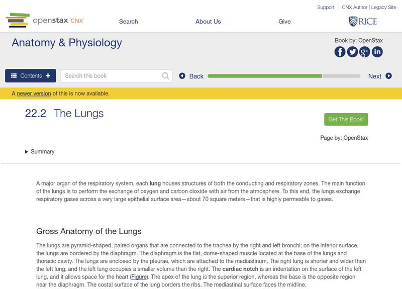 Open Stax: Anatomy & Physiology: The Lungs Unit Plan Open Stax: Anatomy & Physiology: The Lungs Unit Plan