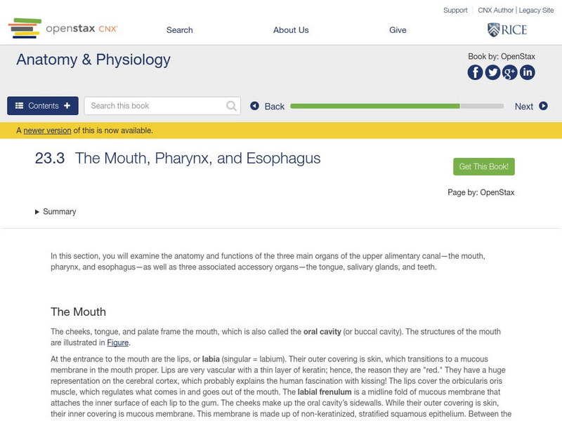 Open Stax: Anatomy & Physiology: The Mouth, Pharynx, and Esophagus Unit Plan Open Stax: Anatomy & Physiology: The Mouth, Pharynx, and Esophagus Unit Plan