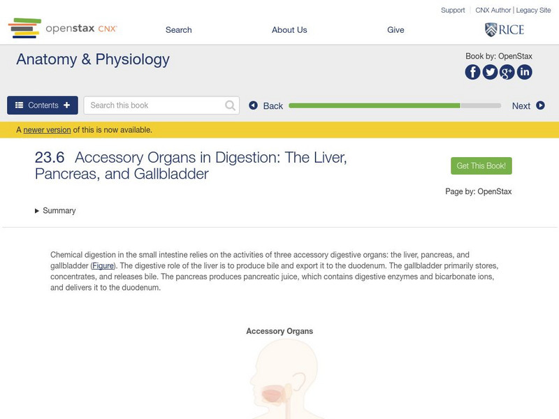 Open Stax: Anatomy & Physiology: Liver, Pancreas, Gallbladder Unit Plan Open Stax: Anatomy & Physiology: Liver, Pancreas, Gallbladder Unit Plan