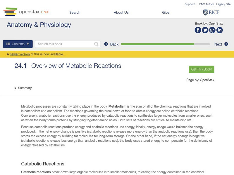 Open Stax: Anatomy & Physiology: Overview of Metabolic Reactions Unit Plan Open Stax: Anatomy & Physiology: Overview of Metabolic Reactions Unit Plan