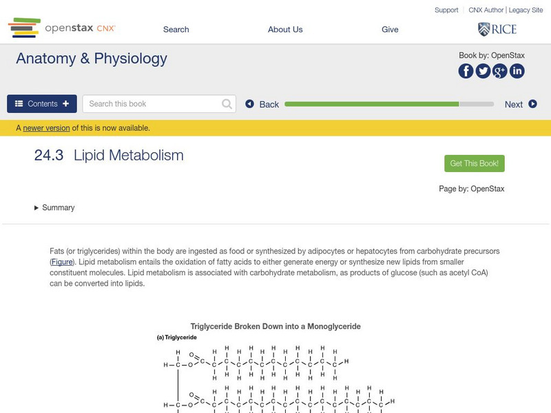 Open Stax: Anatomy & Physiology: Lipid Metabolism Unit Plan Open Stax: Anatomy & Physiology: Lipid Metabolism Unit Plan