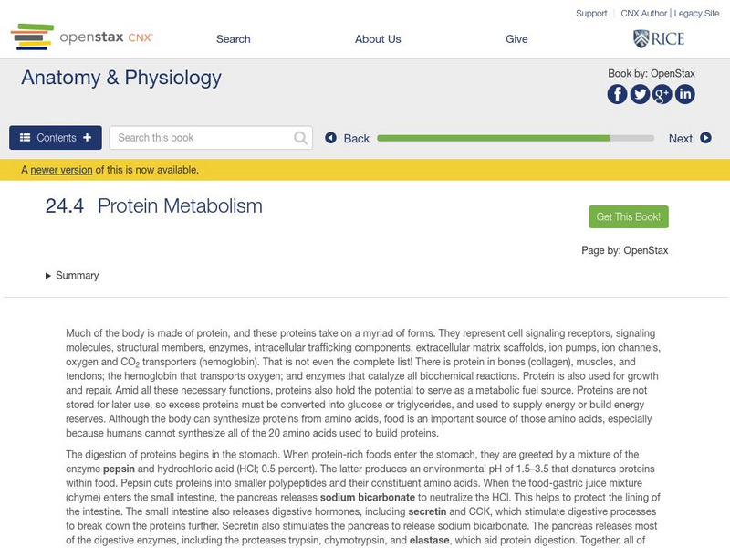 Open Stax: Anatomy & Physiology: Protein Metabolism Unit Plan Open Stax: Anatomy & Physiology: Protein Metabolism Unit Plan