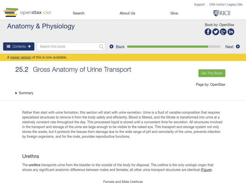 Open Stax: Anatomy & Physiology: Gross Anatomy of Urine Transport Unit Plan Open Stax: Anatomy & Physiology: Gross Anatomy of Urine Transport Unit Plan
