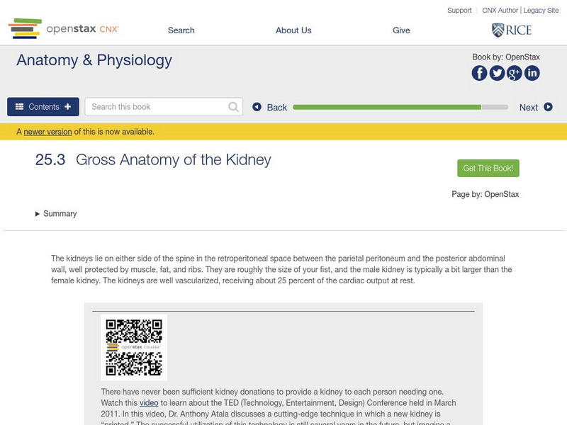 Open Stax: Anatomy & Physiology: Gross Anatomy of the Kidney Unit Plan