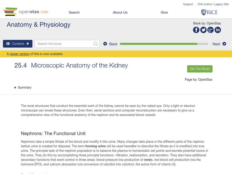 Open Stax: Anatomy & Physiology: Microscopic Anatomy of the Kidney Unit Plan