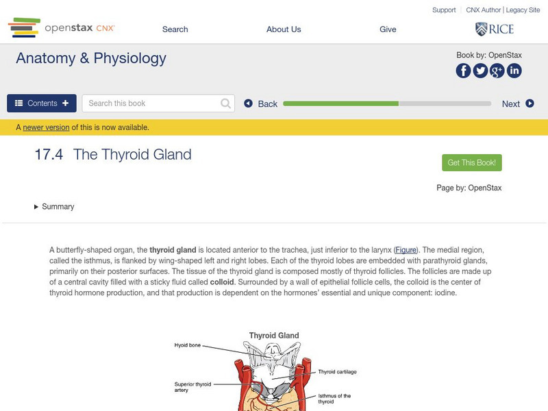 Open Stax: Anatomy & Physiology: The Thyroid Gland Unit Plan Open Stax: Anatomy & Physiology: The Thyroid Gland Unit Plan