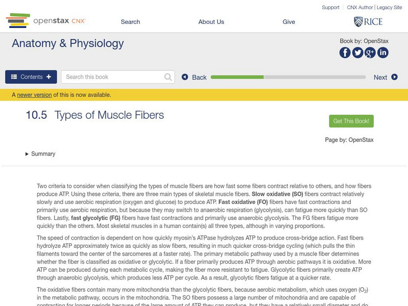 Open Stax: Anatomy & Physiology: Types of Muscle Fibers Unit Plan Open Stax: Anatomy & Physiology: Types of Muscle Fibers Unit Plan