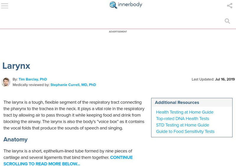 Innerbody: Larynx Handout Innerbody: Larynx Handout