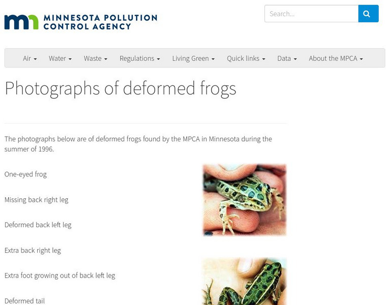 Minnesota Pollution Control Agency: Photographs of Deformed Frogs Graphic Minnesota Pollution Control Agency: Photographs of Deformed Frogs Graphic