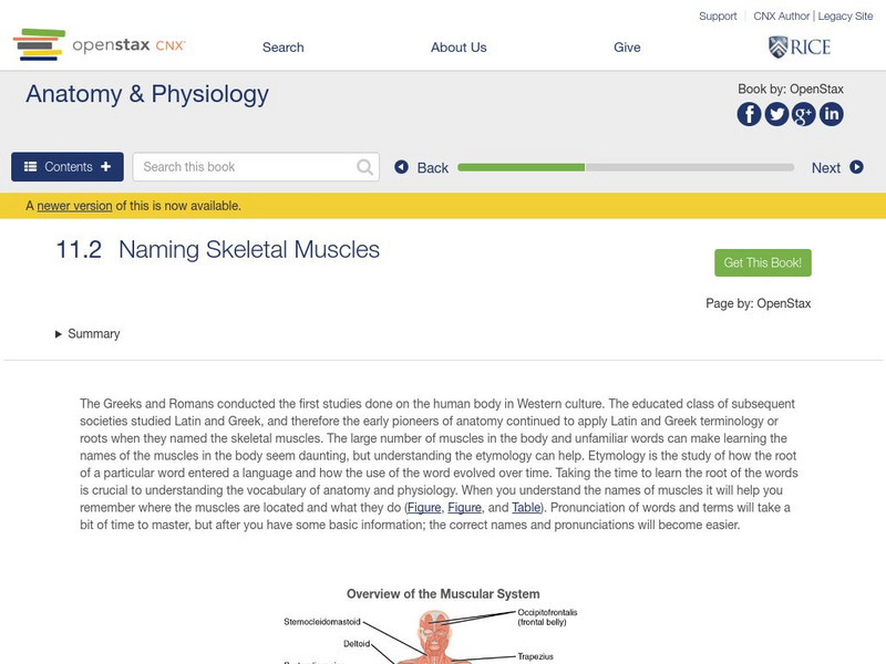 Open Stax: Naming Muscles Unit Plan Open Stax: Naming Muscles Unit Plan