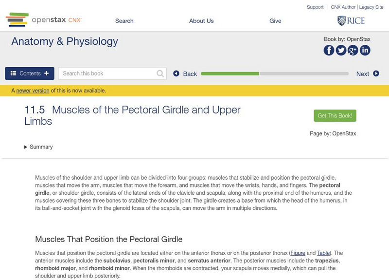 Open Stax: Muscles of the Pectoral Girdle and Upper Limbs Unit Plan Open Stax: Muscles of the Pectoral Girdle and Upper Limbs Unit Plan