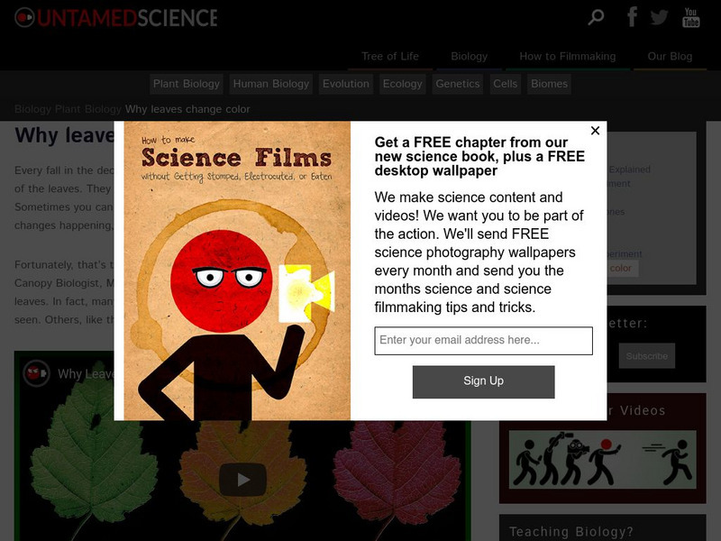 Untamed Science: Why Do Leaves Change Color Instructional Video