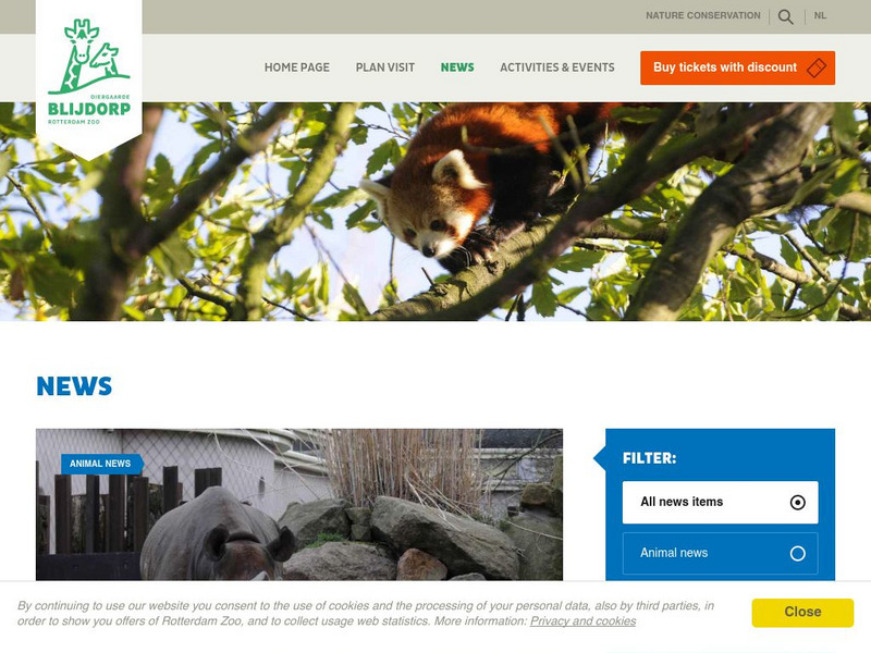 Rotterdam Zoo: News Website Rotterdam Zoo: News Website