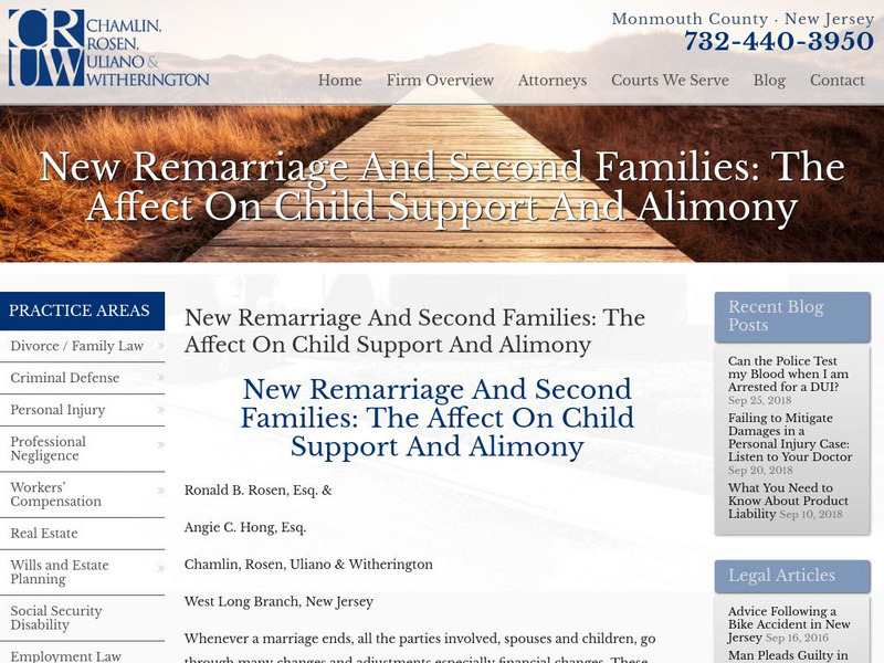 Remarriage and Second Families: The Affect on Child Support and Alimony Article