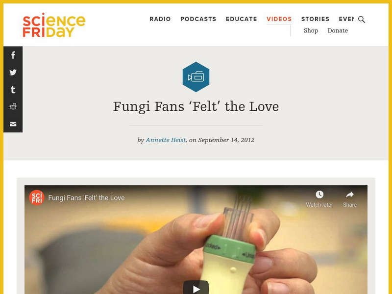 Science Friday: Fungi Fans 'Felt' the Love Instructional Video