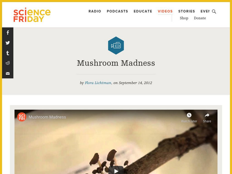 Science Friday: Mushroom Madness Instructional Video