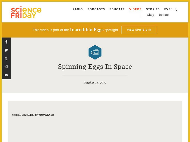 Science Friday: Spinning Eggs in Space Instructional Video