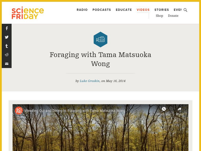Science Friday: Weeding Out and Dining In: Foraging With Tama Matsuoka Wong Instructional Video