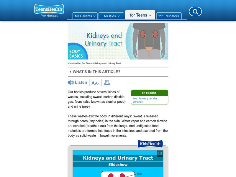 Kids Health: Kidneys and Urinary Tract Article Kids Health: Kidneys and Urinary Tract Article